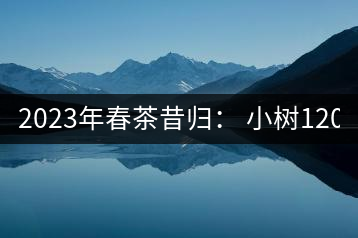 2023年春茶昔歸： 小樹1200-1600元／公斤，大樹4500-5200元／公斤，古樹7500-9000元／公斤.