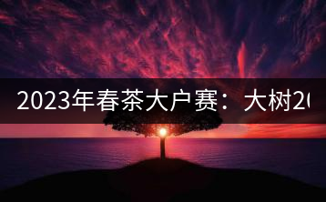 2023年春茶大戶賽：大樹200-300元／公斤，古樹800-1000元／公斤