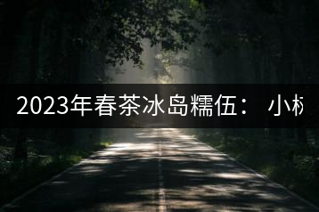 2023年春茶冰島糯伍： 小樹(shù)1300元／公斤，古樹(shù)：2100~2300元／公斤