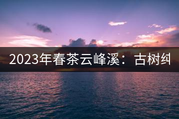 2023年春茶云峰溪：古樹純料：1200-1500元／公斤，古樹混采800-1000元／公斤，大樹500-800元／公斤，小樹300-500元／公斤