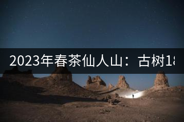 2023年春茶仙人山：古樹1800-2500元／公斤，老曼峨：小樹：600元／公斤 1600-1800元／公斤