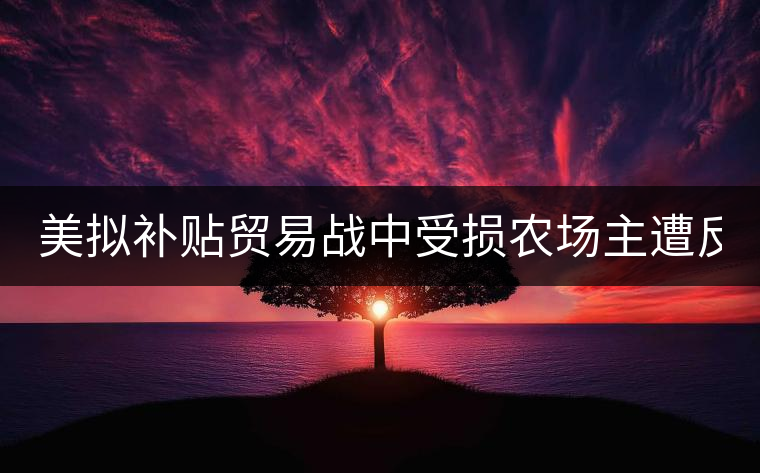 美擬補貼貿易戰(zhàn)中受損農場主遭反對: 只要市場 美擬補貼貿易戰(zhàn)中受損農場主遭反對: 只要市場