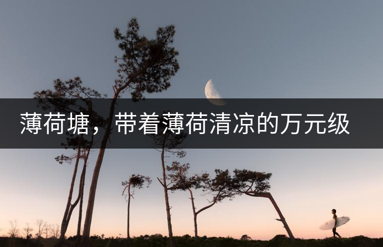 薄荷塘，帶著薄荷清涼的萬元級(jí)普洱