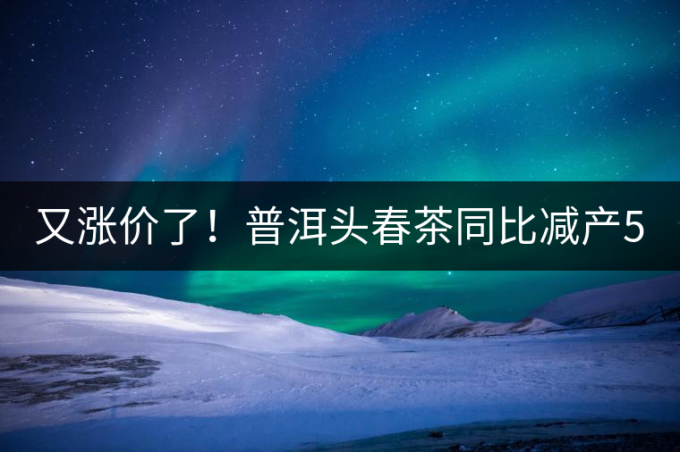 又漲價(jià)了！普洱頭春茶同比減產(chǎn)50%，薄荷塘一類鮮葉需當(dāng)面議價(jià)