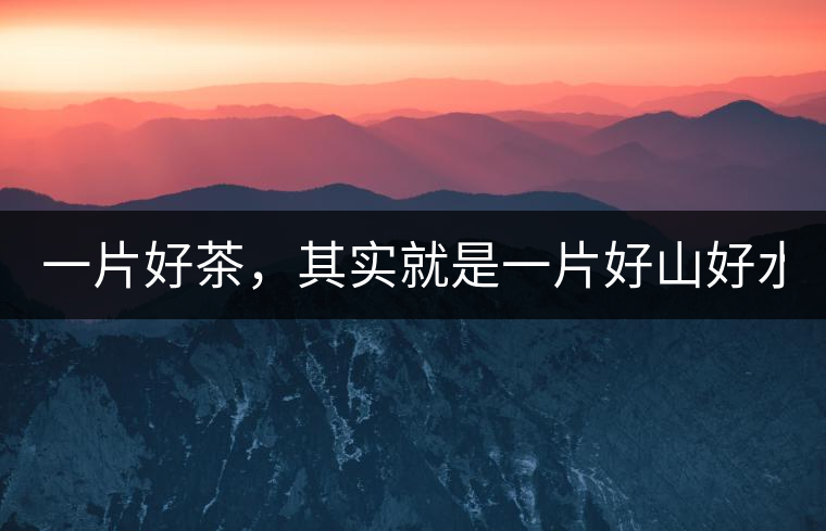 一片好茶，其實就是一片好山好水...一片好茶，其實就是一片好山好水...