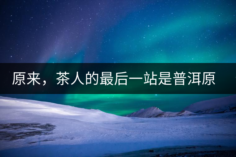 原來，茶人的最后一站是普洱原來，茶人的最后一站是普洱