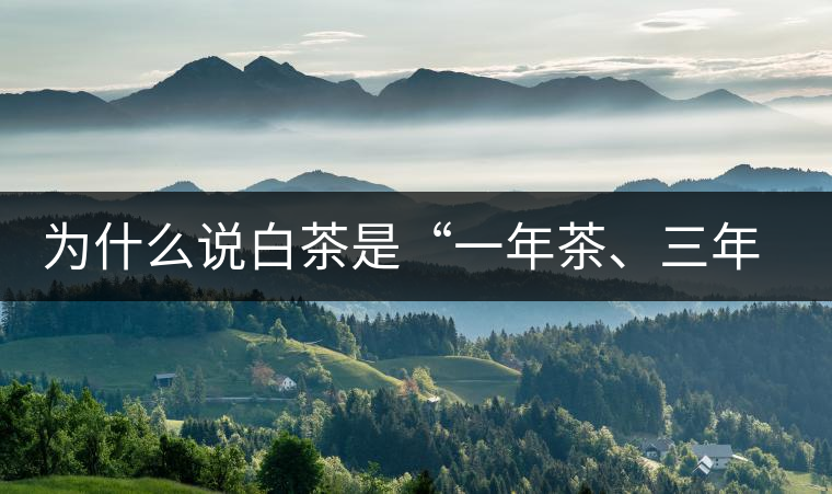 為什么說白茶是“一年茶、三年藥、七年寶”?為什么說白茶是“一年茶、三年藥、七年寶”？