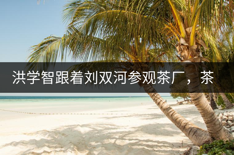 洪學(xué)智跟著劉雙河參觀茶廠，茶廠黃老板對(duì)賣苦力的百姓百般欺凌