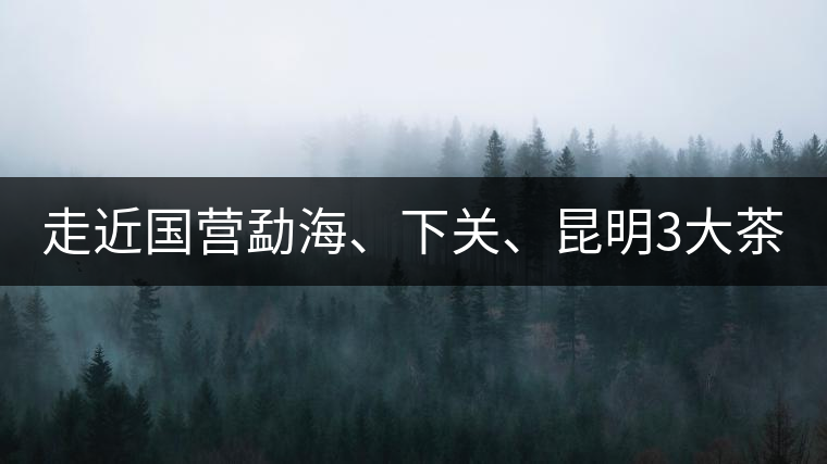 走近國營勐海、下關(guān)、昆明3大茶廠，傳世代表作的發(fā)展詳...走近國營勐海、下關(guān)、昆明3大茶廠，傳世代表作的發(fā)展詳解