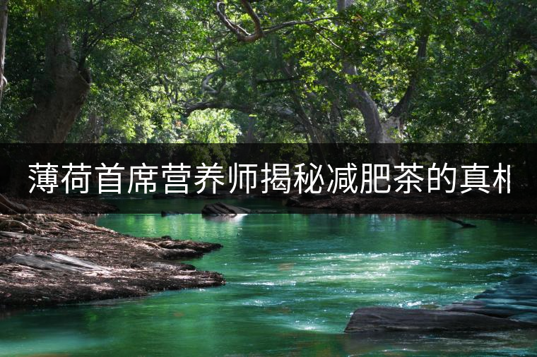 薄荷首席營養(yǎng)師揭秘減肥茶的真相！