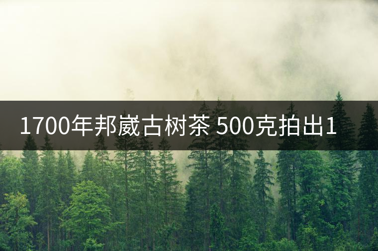 1700年邦崴古樹茶 500克拍出18萬(wàn)元天價(jià) 1700年邦崴古樹茶 500克拍出18萬(wàn)元天價(jià)