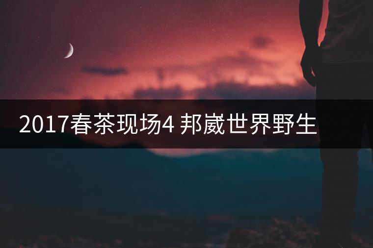 2017春茶現(xiàn)場(chǎng)4 邦崴世界野生過渡型茶王長(zhǎng)啥樣?之枝丫2017春茶現(xiàn)場(chǎng)4 邦崴世界野生過渡型茶王長(zhǎng)啥樣？之枝丫