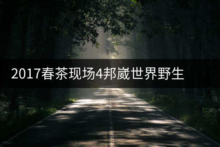 2017春茶現(xiàn)場(chǎng)4邦崴世界野生過(guò)渡型茶王長(zhǎng)啥樣之茶王2017春茶現(xiàn)場(chǎng)4邦崴世界野生過(guò)渡型茶王長(zhǎng)啥樣之茶王 2017春茶現(xiàn)場(chǎng)4邦崴世界野生過(guò)渡型茶王長(zhǎng)啥樣之茶王2017春茶現(xiàn)場(chǎng)4邦崴世界野生過(guò)渡型茶王長(zhǎng)啥樣之茶王