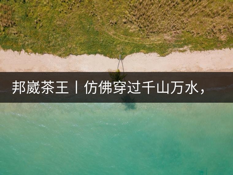 邦崴茶王丨仿佛穿過千山萬(wàn)水，就是為了它而來邦崴茶王丨仿佛穿過千山萬(wàn)水，就是為了它而來