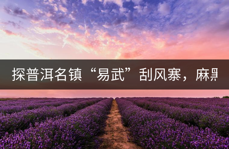 探普洱名鎮(zhèn)“易武”刮風(fēng)寨，麻黑，落水洞!小編親自下...探普洱名鎮(zhèn)“易武”刮風(fēng)寨，麻黑，落水洞！小編親自下手“殺青”