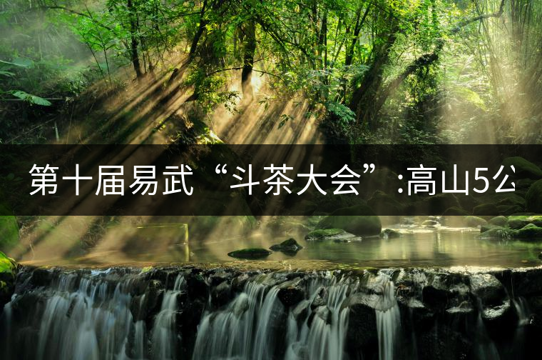 第十屆易武“斗茶大會(huì)”:高山5公斤15萬，刮風(fēng)寨5公斤...第十屆易武“斗茶大會(huì)”：高山5公斤15萬，刮風(fēng)寨5公斤30萬...
