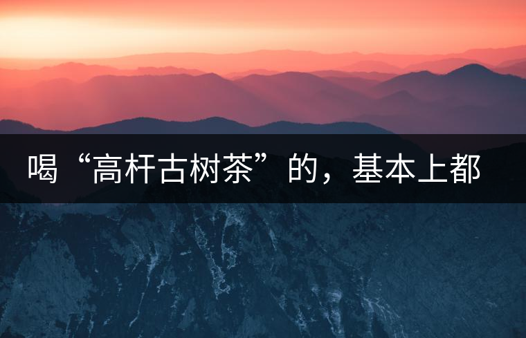 喝“高桿古樹(shù)茶”的，基本上都是不懂茶的