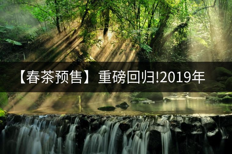 【春茶預售】重磅回歸!2019年春茶一招制勝的秘密--天門...【春茶預售】重磅回歸！2019年春茶一招制勝的秘密——天門山