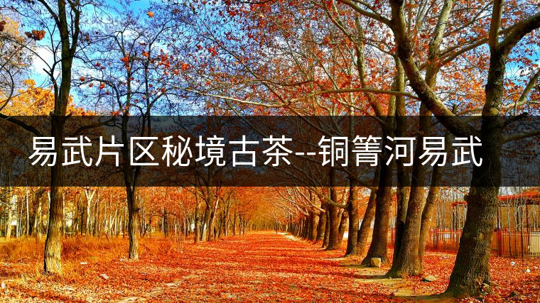 易武片區(qū)秘境古茶--銅箐河易武片區(qū)秘境古茶——銅箐河