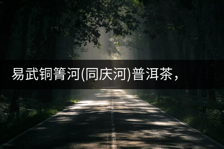 易武銅箐河(同慶河)普洱茶，讓我拜倒的不止它的口感易武銅箐河（同慶河）普洱茶，讓我拜倒的不止它的口感