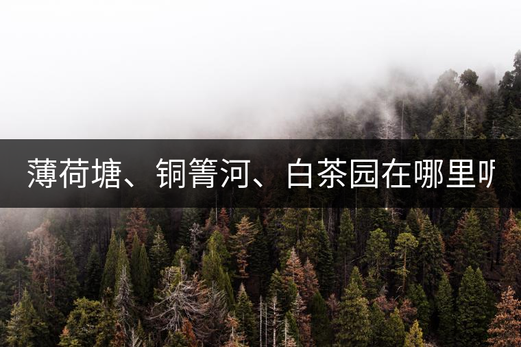 薄荷塘、銅箐河、白茶園在哪里呢?薄荷塘、銅箐河、白茶園在哪里呢？