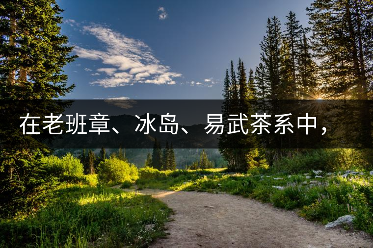 在老班章、冰島、易武茶系中，誰的潛力最大？