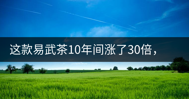 這款易武茶10年間漲了30倍，但已芳蹤罕見