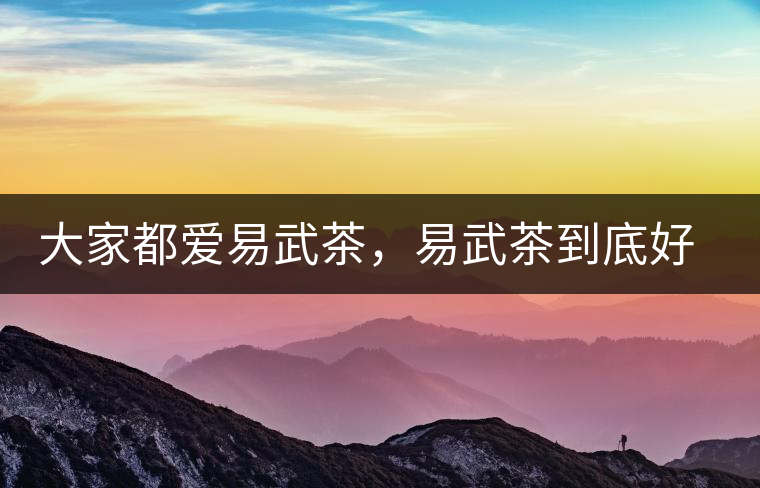 大家都愛易武茶，易武茶到底好在哪兒?大家都愛易武茶，易武茶到底好在哪兒？