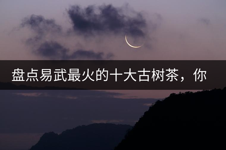 盤(pán)點(diǎn)易武最火的十大古樹(shù)茶，你喜歡哪款？
