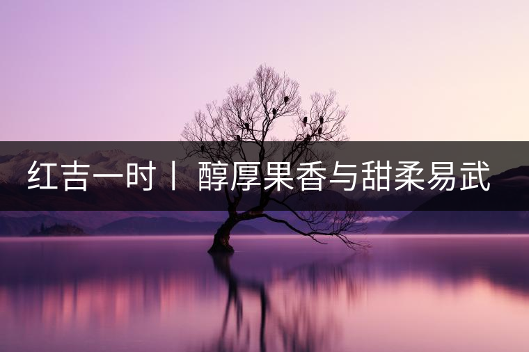 紅吉一時(shí)丨 醇厚果香與甜柔易武茶封存成溫煦風(fēng)味 紅吉一時(shí)丨 醇厚果香與甜柔易武茶封存成溫煦風(fēng)味