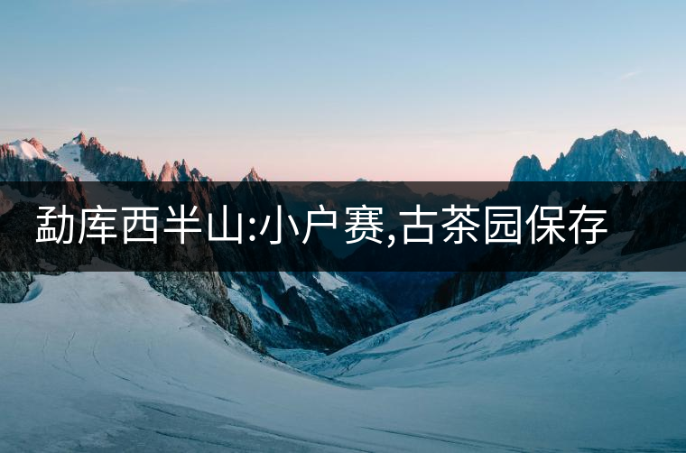 勐庫西半山:小戶賽,古茶園保存最好的寨子