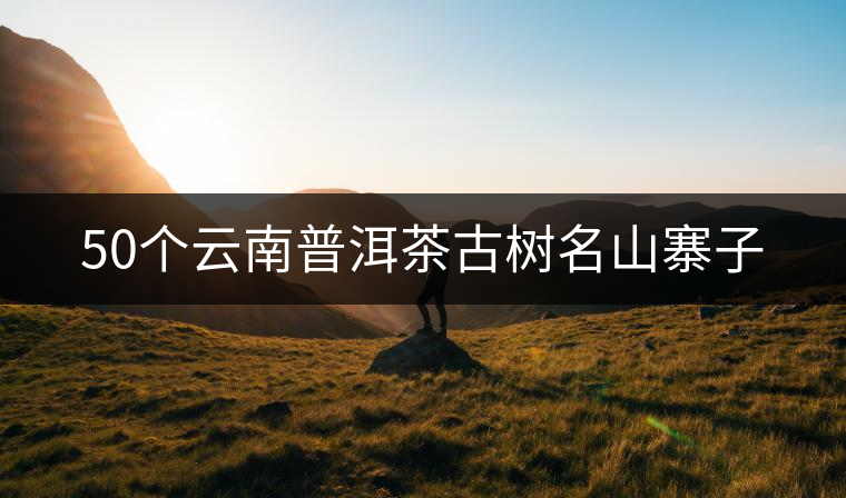 50個(gè)云南普洱茶古樹(shù)名山寨子 50個(gè)云南普洱茶古樹(shù)名山寨子