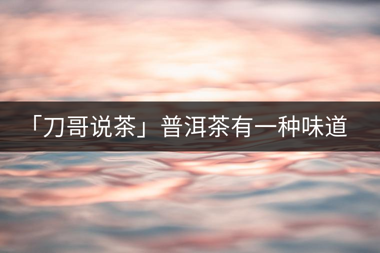 「刀哥說茶」普洱茶有一種味道，只可意會(huì)不可言傳