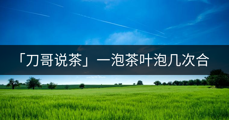 「刀哥說茶」一泡茶葉泡幾次合適?「刀哥說茶」一泡茶葉泡幾次合適？