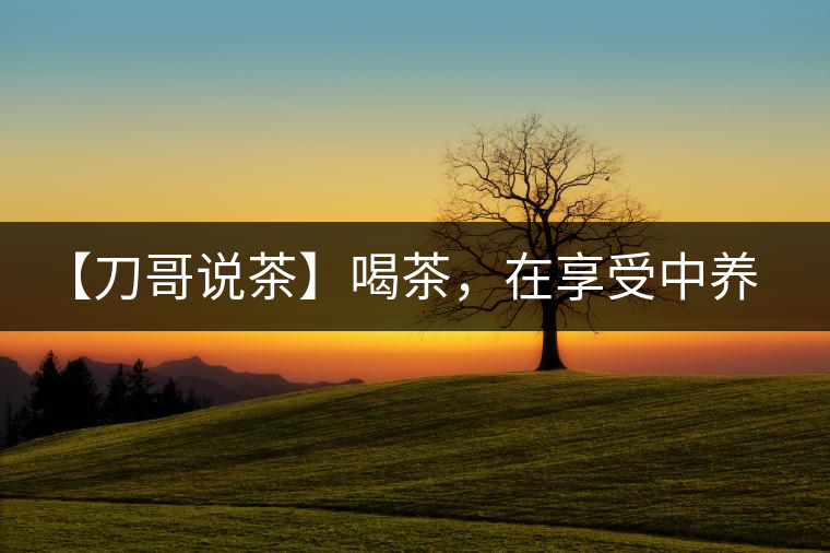 【刀哥說(shuō)茶】喝茶，在享受中養(yǎng)生的最佳選擇