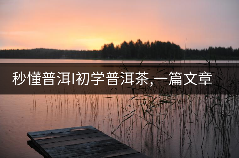 秒懂普洱I初學(xué)普洱茶,一篇文章快速入門 秒懂普洱I初學(xué)普洱茶,一篇文章快速入門