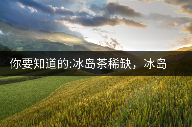 你要知道的:冰島茶稀缺，冰島熟茶更來(lái)之不易你要知道的：冰島茶稀缺，冰島熟茶更來(lái)之不易