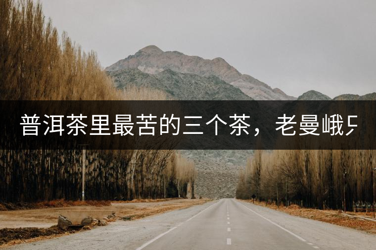 普洱茶里最苦的三個(gè)茶，老曼峨只能排第三！