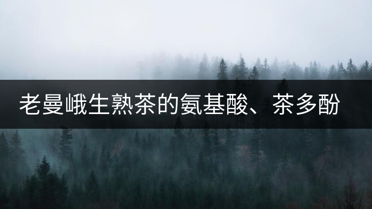 老曼峨生熟茶的氨基酸、茶多酚、酚氨比分析
