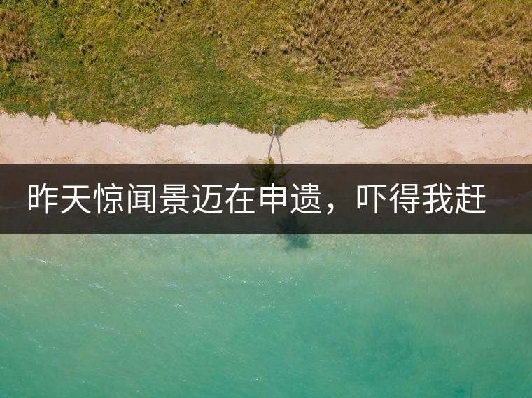 昨天驚聞景邁在申遺，嚇得我趕緊拿出景邁茶……昨天驚聞景邁在申遺，嚇得我趕緊拿出景邁茶……