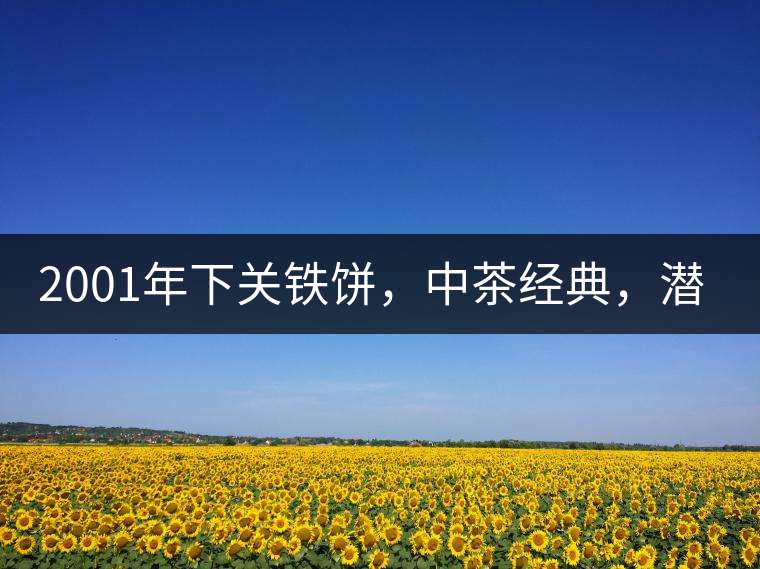 2001年下關(guān)鐵餅，中茶經(jīng)典，潛力可期!