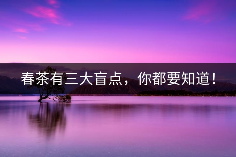 春茶有三大盲點，你都要知道！