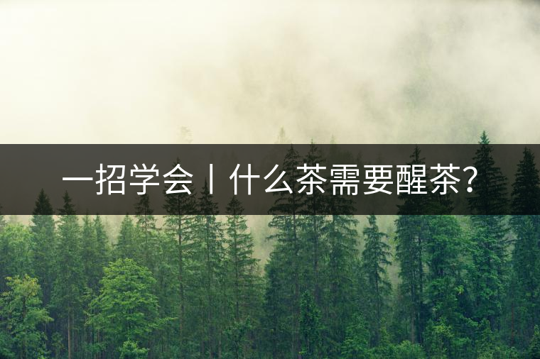 一招學(xué)會(huì)丨什么茶需要醒茶？