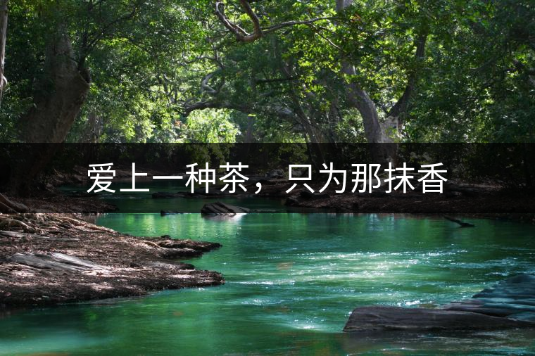 愛上一種茶，只為那抹香