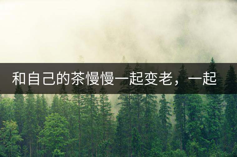 和自己的茶慢慢一起變老，一起變好