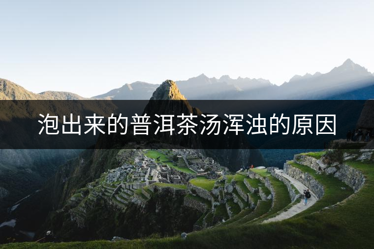 泡出來(lái)的普洱茶湯渾濁的原因 泡出來(lái)的普洱茶湯渾濁的原因