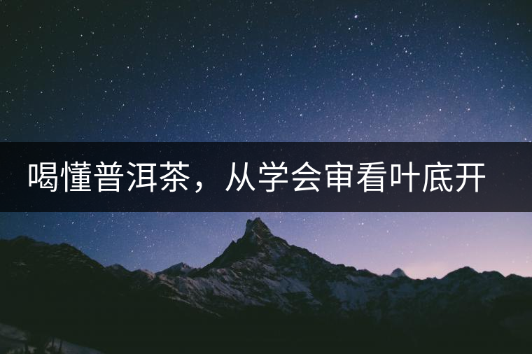 喝懂普洱茶,從學會審看葉底開始 喝懂普洱茶,從學會審看葉底開始