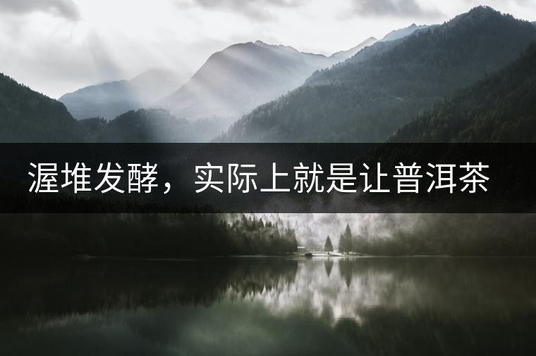 渥堆發(fā)酵,實(shí)際上就是讓普洱茶“發(fā)霉” 渥堆發(fā)酵,實(shí)際上就是讓普洱茶“發(fā)霉”