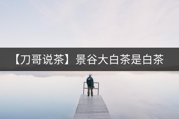 【刀哥說(shuō)茶】景谷大白茶是白茶還是普洱茶? 【刀哥說(shuō)茶】景谷大白茶是白茶還是普洱茶?