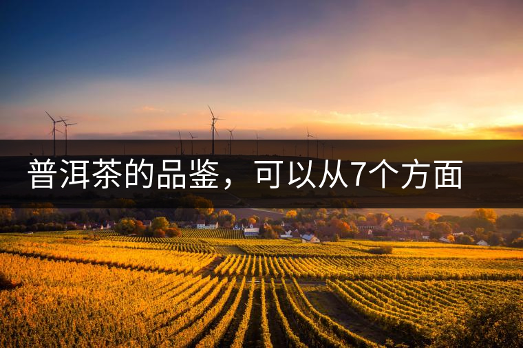 普洱茶的品鑒，可以從7個方面著手
